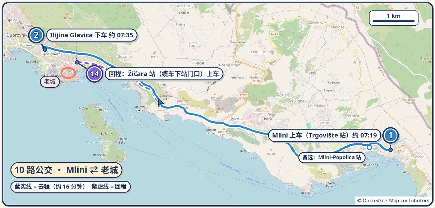 10 路公交 Mlini 到老城的路线图